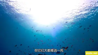 女人张腿男人桶剧照3